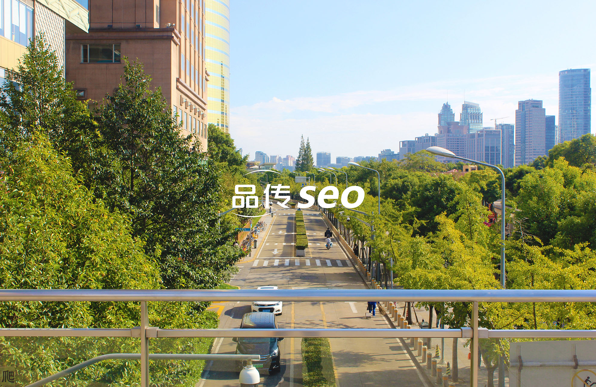 独立站SEO优化包年服务，让您的官网